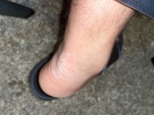 Dil Bahar Cafe by null