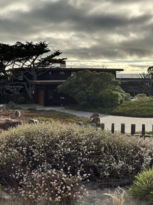 Asilomar State Beach by null