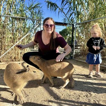 Ghost Ranch Exotics and Funny Foot Farm - Attraction Farms Near Me - Marana, Arizona Ghost Ranch Exotics and Funny Foot Farm - Attraction Farms Near Me - Marana, Arizona