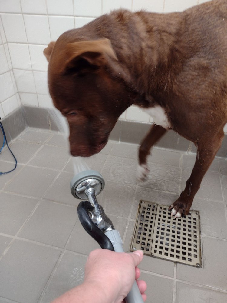 FEEDERS SUPPLY Updated October 2024 13 Photos 229 E Lewis And