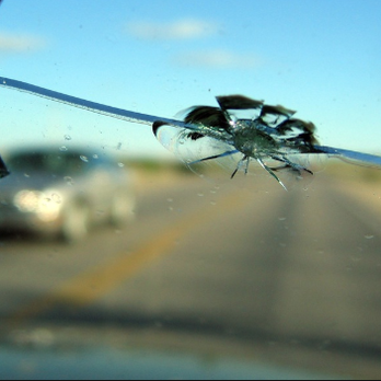 Angel Auto Glass - Auto Glass Services Near Me Angel Auto Glass - Auto Glass Services Near Me