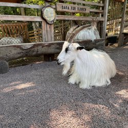 Slottsskogen - Barnens zoo