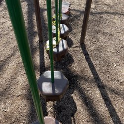 Rex Park