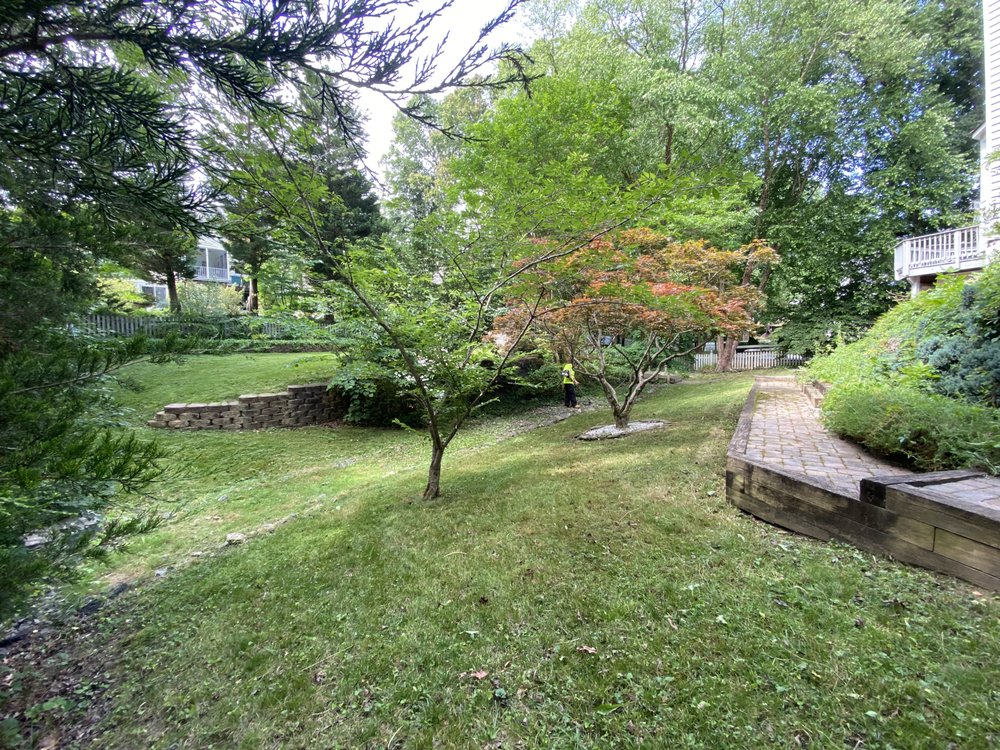 KMT Services - veterans service organization in Fredericksburg, VA