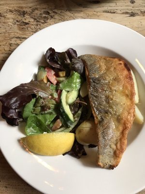 Queens Head Inn by null