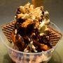 Photo of Eis Costantin