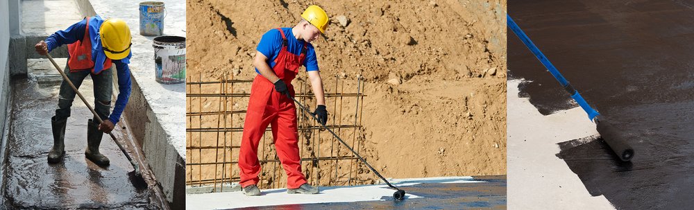 Slide of The American Romani Alliance