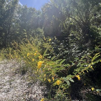 AIS Trail Park - Parks Near Me - Palm Bay, Florida AIS Trail Park - Parks Near Me - Palm Bay, Florida