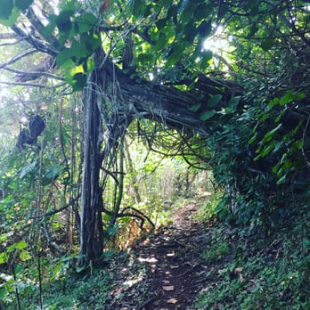 Pu'u 'Ualaka'a State Park - Parks Near Me - Honolulu, Hawaii