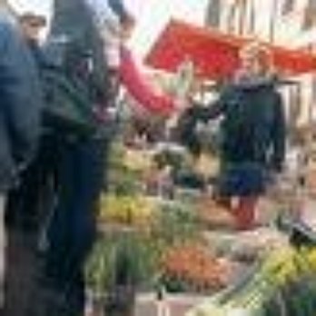 Whitechapel Market - Farmers Market Near Me - London, XGL Whitechapel Market - Farmers Market Near Me - London, XGL