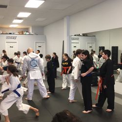 Blitz Dojo