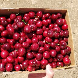 End of the season pre-picked $3.50