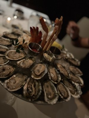 801 Fish by null