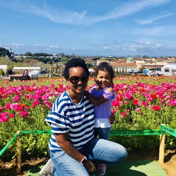 The Flower Fields - We waited in line for this photo. I wish they had a cute fence instead of green tape. - Venues & Event Spaces Near Me - Carlsbad, California The Flower Fields - We waited in line for this photo. I wish they had a cute fence instead of green tape. - Venues & Event Spaces Near Me - Carlsbad, California