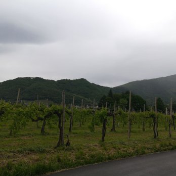 San Gregorio - Der Prosecco-Express rollt wieder an... - Wineries Near Me - Valdobbiadene, TV San Gregorio - Der Prosecco-Express rollt wieder an... - Wineries Near Me - Valdobbiadene, TV