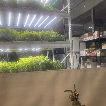 Farm.One - Farms Near Me - Brooklyn, New York