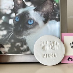 Beloved Cat Home Euthanasia - Misha's paw print's created by Dr. Lew as a keepsake for us.