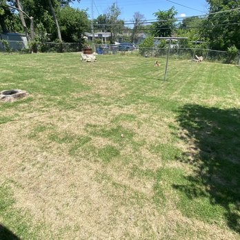 North Dallas Tree & Sod - Another low spot that is brown, you can see the low area runs down the middle of the yard. - Tree Services Near Me - The Colony, Texas