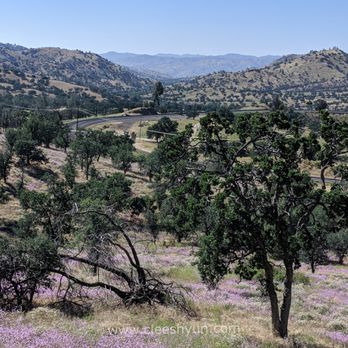 Tehachapi Loop - Landmarks & Historical Buildings Near Me - Keene, California
