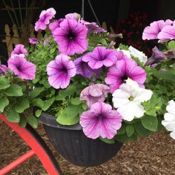 Greenthumb Nursery & Country Store