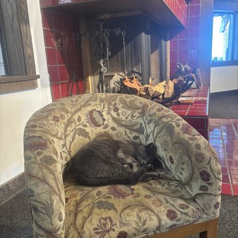 Eberle Winery - Wine cat! - Wineries Near Me - Paso Robles, California