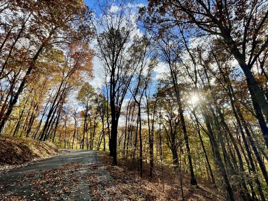 Warner Parks by null