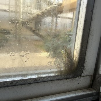 Lakeshore Apartments - Mold sooo bad and seals in the windows no good, a plant started to grow between the panes of glass. - Apartments Near Me - Davis, California