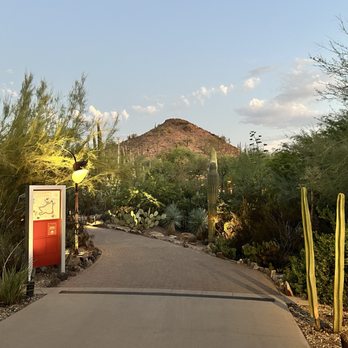 Desert Botanical Garden - Botanical Gardens Near Me - Phoenix, Arizona