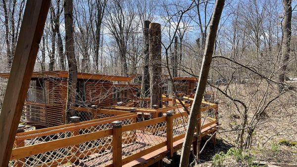 TreeTops Restaurant by null