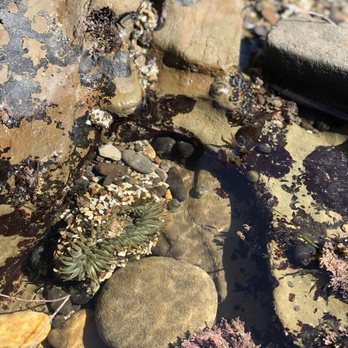 Cabrillo Beach - Beaches Near Me - San Pedro, California