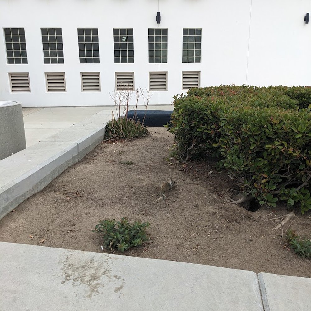 Aliso Creek Rest Area - Well ventilated restrooms & cuddly wildlife - Rest Stops Near Me - Oceanside, California Aliso Creek Rest Area - Well ventilated restrooms & cuddly wildlife - Rest Stops Near Me - Oceanside, California