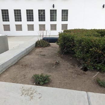 Aliso Creek Rest Area - Well ventilated restrooms & cuddly wildlife - Rest Stops Near Me - Oceanside, California