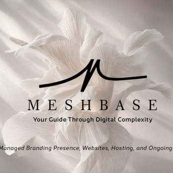 MESHBASE - Web Design Near Me