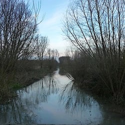 Les Marais de la Marque - La Marque