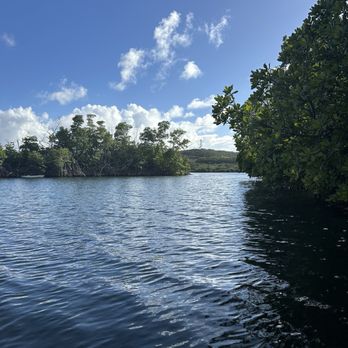 Virgin Islands Ecotours - Tours Near Me - St Thomas, Virgin Islands