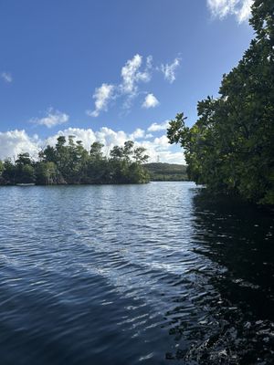 Virgin Islands Ecotours - St. Thomas by null