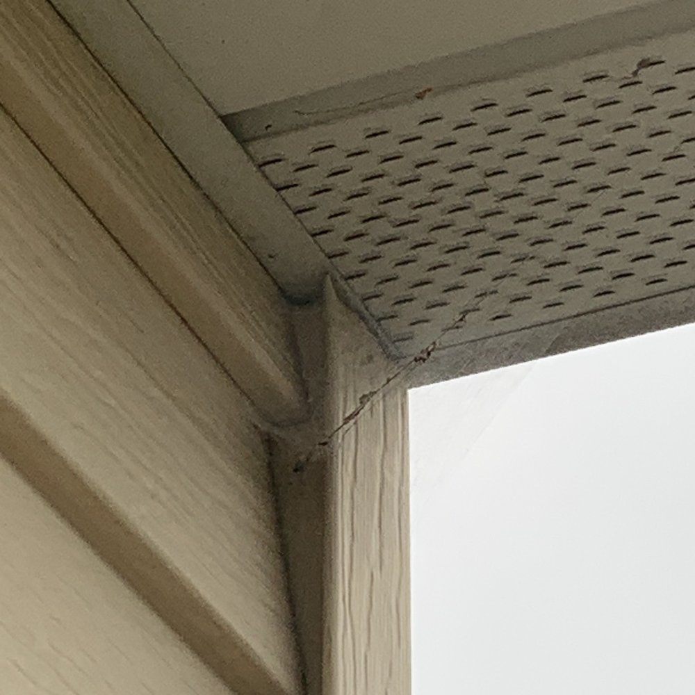 Aptive Pest Control - Pest Control Near Me - Princeton Junction, New Jersey Aptive Pest Control - Pest Control Near Me - Princeton Junction, New Jersey