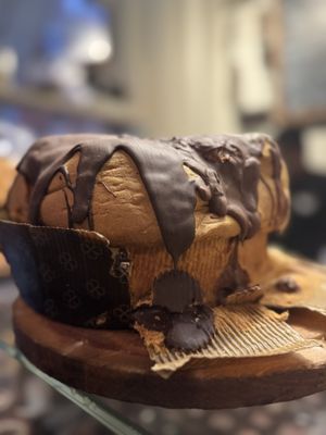 Italian Bear Chocolate - Soho by null