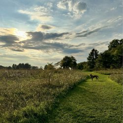Lakewood Off-Leash Dog Area - Great walking trails.