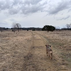 Cherokee Marsh Conservation Park