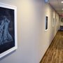 Photo of Health Loft Chiropractic