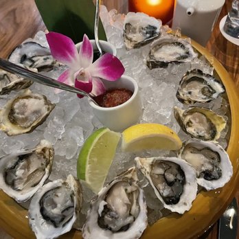 Morimoto - Amazing oysters! - Japanese Near Me - Las Vegas, Nevada Morimoto - Amazing oysters! - Japanese Near Me - Las Vegas, Nevada