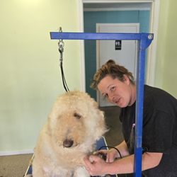 Shag-A-Poos Pet Parlor