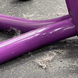 Dust balls and filth everywhere! ‍‍