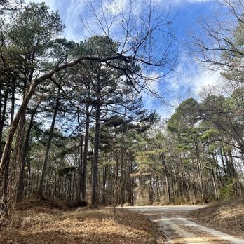 Natchez Trace State Park - Parks Near Me - Wildersville, Tennessee Natchez Trace State Park - Parks Near Me - Wildersville, Tennessee
