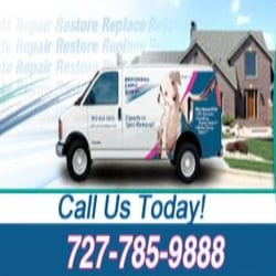 Professional Carpet Systems