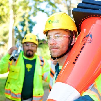 Bartlett Tree Experts - Tree Services Near Me - Bel Air, Maryland Bartlett Tree Experts - Tree Services Near Me - Bel Air, Maryland