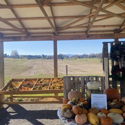 Simply Rooted Farm - Happy Fall.