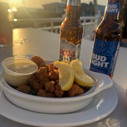 Daiquiri Deck - Bradenton Beach - Alligator bites