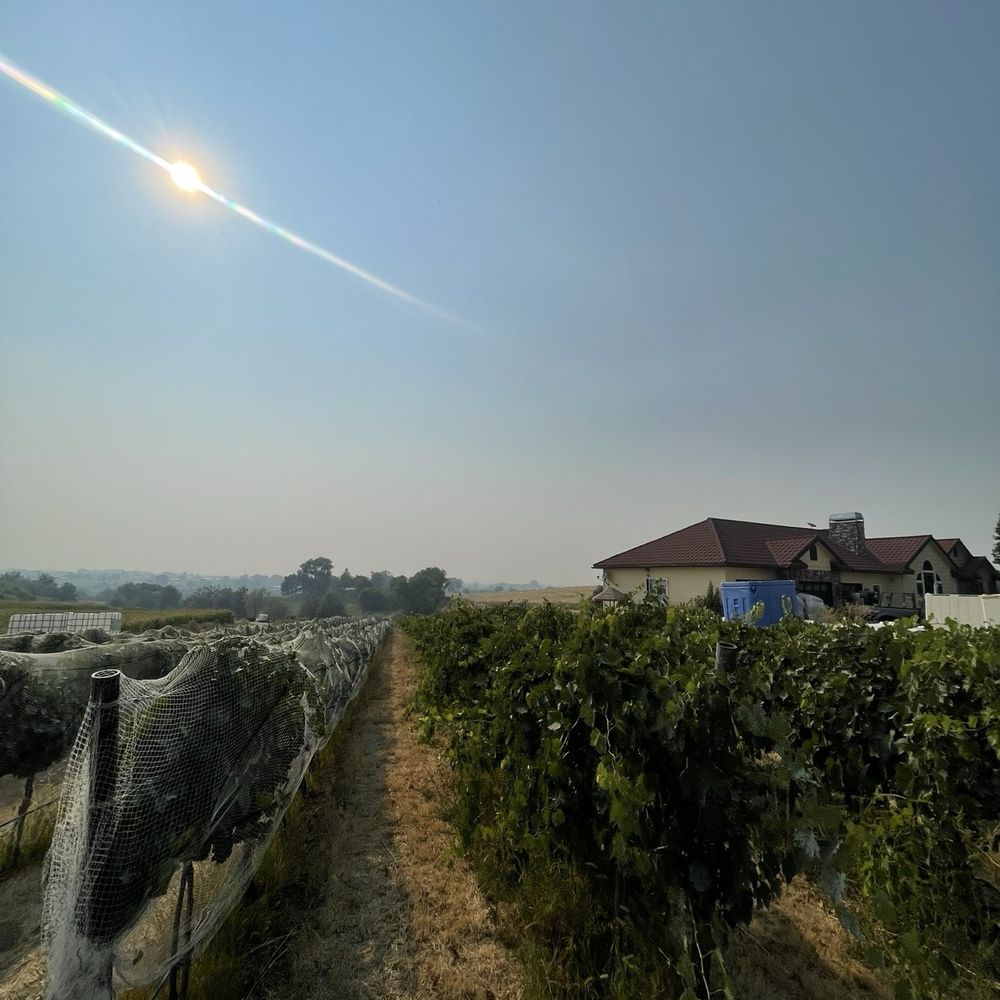 Kindred Vineyards - Wineries Near Me - Sunnyslope, Idaho